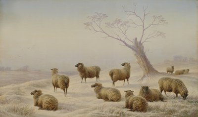 Schafe im Schnee, 1880 von Charles Jones